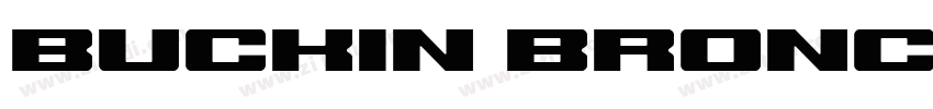 Buckin Bronc Expand字体转换